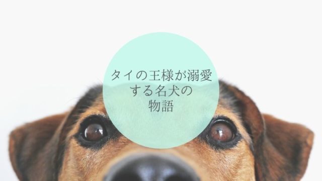 タイの王様が溺愛する名犬トーンデーンについての物語