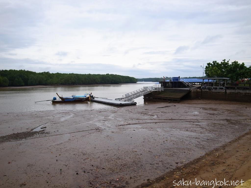 雨のクラビ旅行（2）～クラビ川マングローブツアー