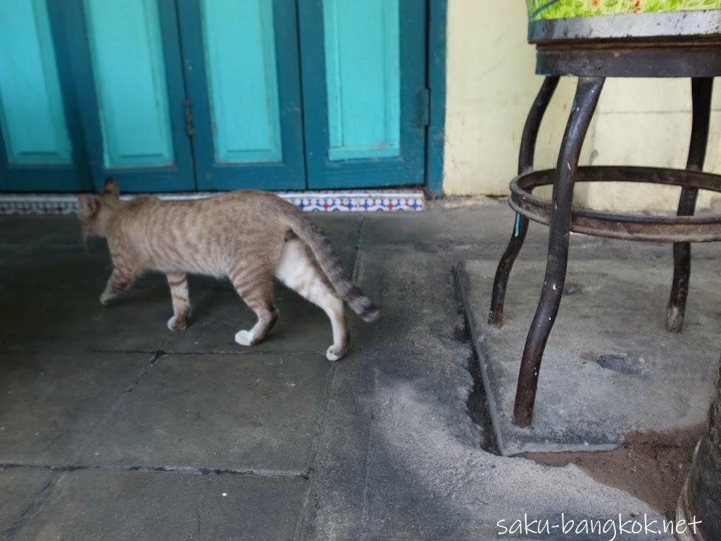 バンコク旧市街散策！ラマ5世時代の街並みが残るプレーンプートン通りと絶品ココナッツアイス