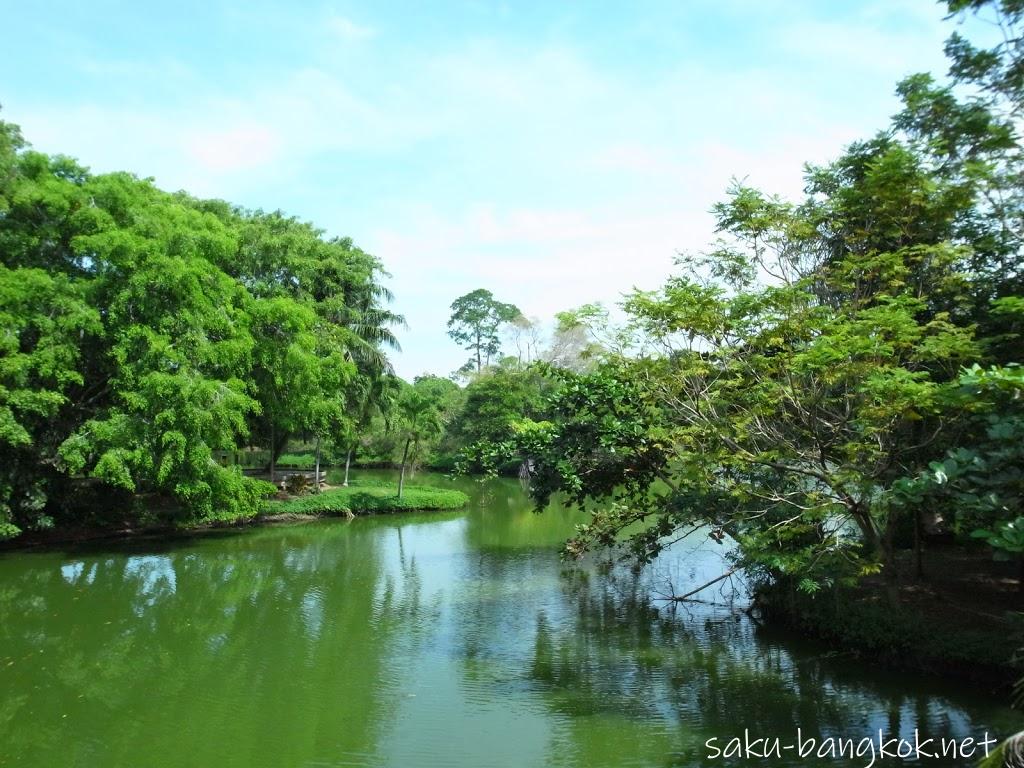 スリナコン・クエンカーン公園の池