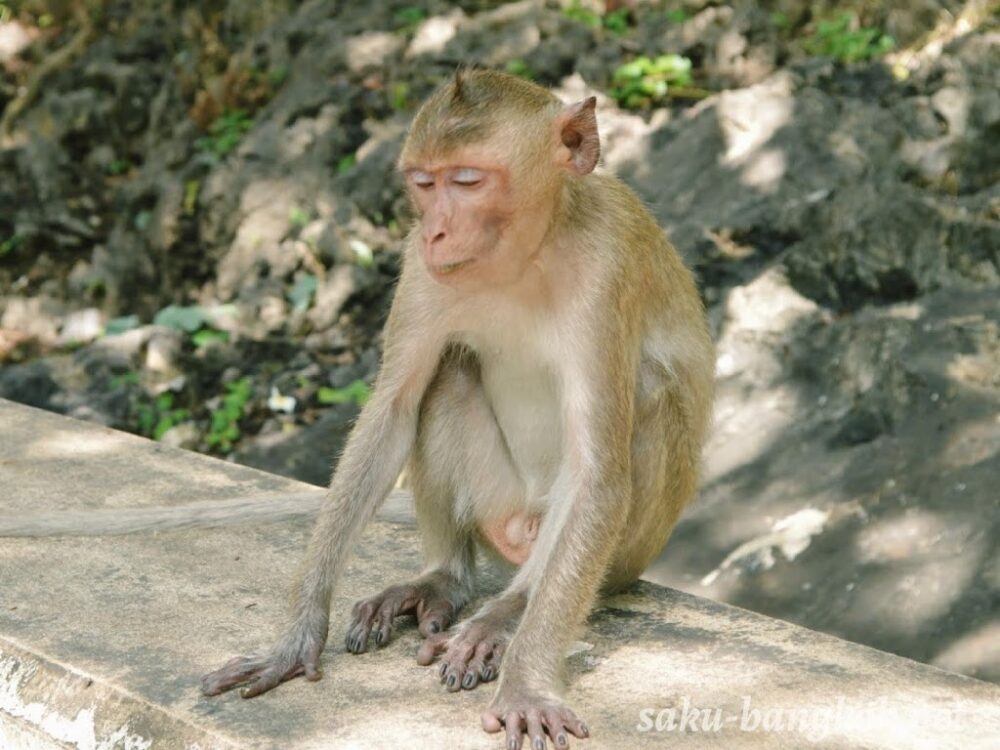 ペッチャブリーの【カオルアン洞窟】洞窟に光の帯が差す神秘的な景色を見に行こう