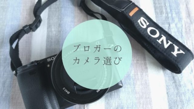 ブログ用のカメラを買うならミラーレス一眼SONY α6300がおすすめ！