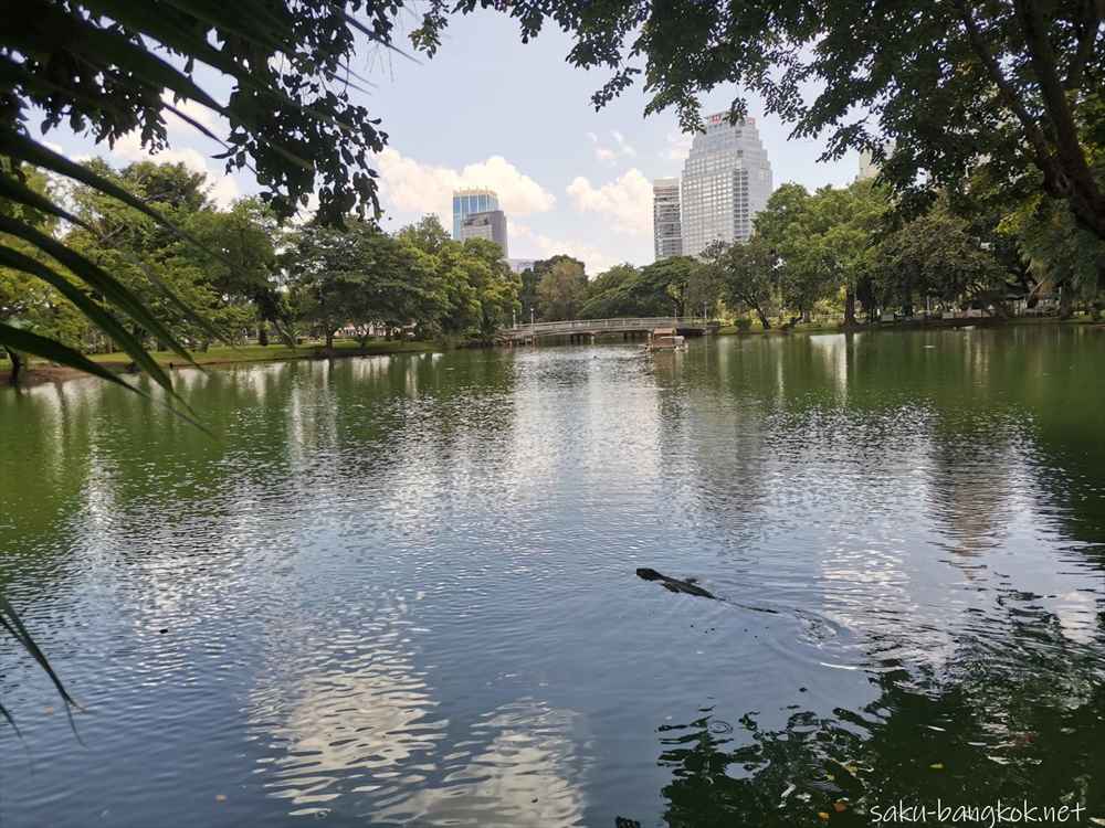 バンコク「ルンピニ公園」ミズオオトカゲを観察できる都会のオアシス